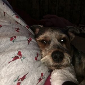 Meet your Posher, Barbara